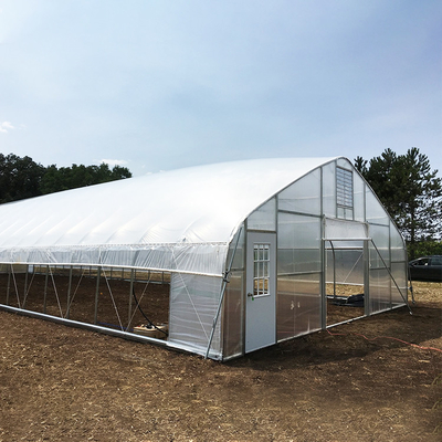 Tunnel Greenhouse Galvanized Steel Frame Structure Pipe Pe UV Plastic Film Vergetables Single-span Greenhouse