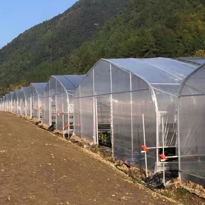 30m Length Single Span Plastic Sheeting Film Greenhouse For Tomato Cultivation