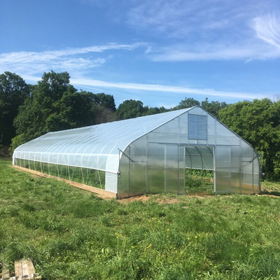 Tunnel Greenhouse Galvanized Steel Frame Structure Pipe Pe UV Plastic Film Vergetables Single-span Greenhouse