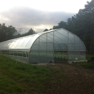 Hot Dip Galvanized Steel 4m Single Span Tunnel Plastic Greenhouse For Plants Growing