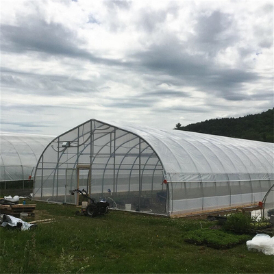 Invernadero Gothic Arch Single Span Greenhouse Galvanized 48mm Pipe Width 26ft