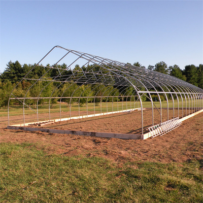 Gothic Arch Side Ventilation Plastic Film Greenhouse Single Span For Agriculture