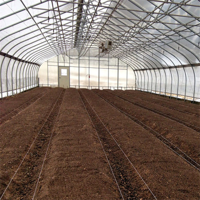 300 Square Meter Tunnel Plastic White Single Span Greenhouse For Strawberry Growing