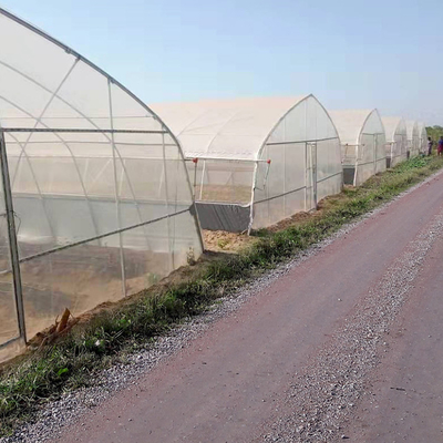 Agriculture Vegetable Growing Hoop House Film Tunnel Greenhouse