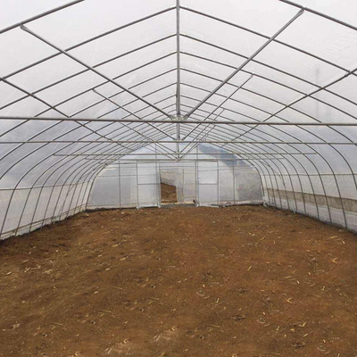 Agriculture Vegetable Growing Hoop House Film Tunnel Greenhouse