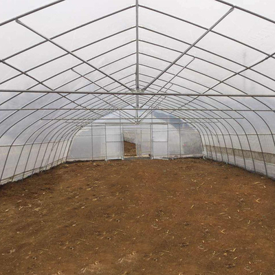 Gothic High Tunnel Vegetable Film Hydroponics Single-Span Greenhouse Construction