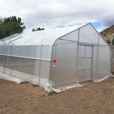 Single Span High Tunnel Greenhouse Single Layer Film For Tomatoes Agricultural