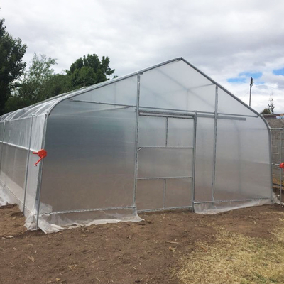 Horticultural Flower Growing Single-Span Film Tunnel Greenhouse Polyethylene Film Greenhouse