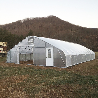 Single Span High Tunnel Greenhouse Single Layer Film For Tomatoes Agricultural