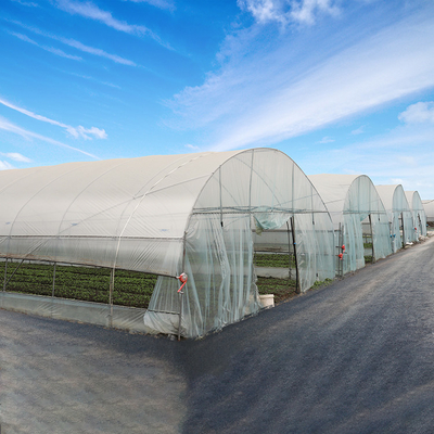 Agriculture Plastic Single Span Greenhouse With Poly Tunnel Steel Frame Double Film
