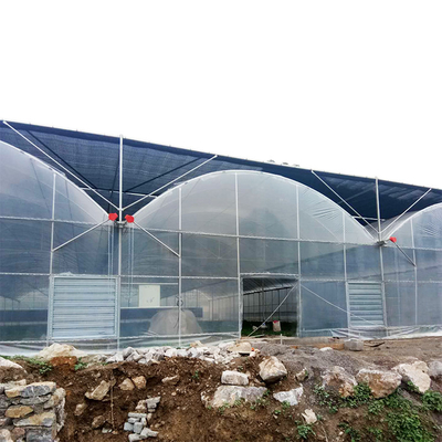 Poly Film Multi Span Greenhouse with Rolling Benches Seeding Nursery Ventilation