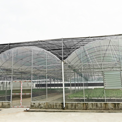 Inner Shading System Multi Span Greenhouse Automatic Commercial For High Wind