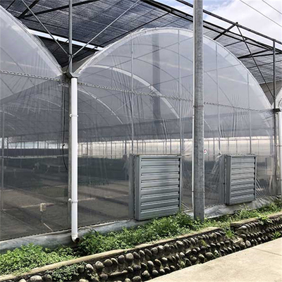 Inner Shading System Multi Span Greenhouse Automatic Commercial For High Wind