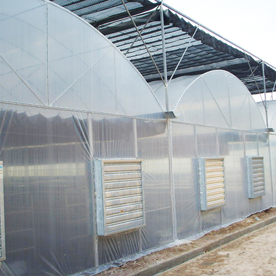 Negative Fan Cooling System Plastic Film Greenhouse Shading Multi Span Automatic