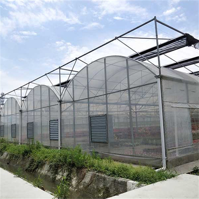 Negative Fan Cooling System Climate Control 60m Tunnel Multi Span Greenhouse