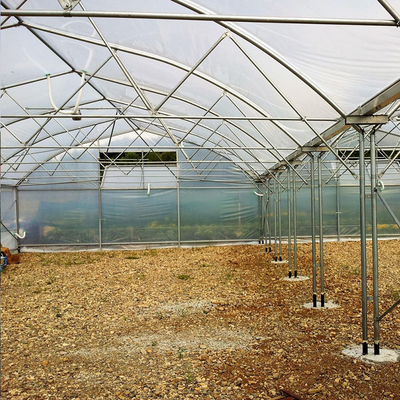 Galvanized Steel Frame Multi Span Agricultural Greenhouses Flower Vegetable Growing