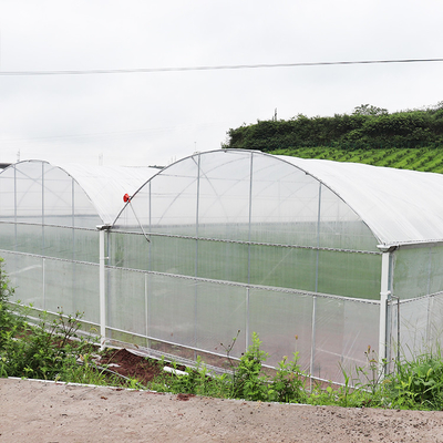 High Tunnel Multi Span Greenhouse Plastic PE Film For Strawberry