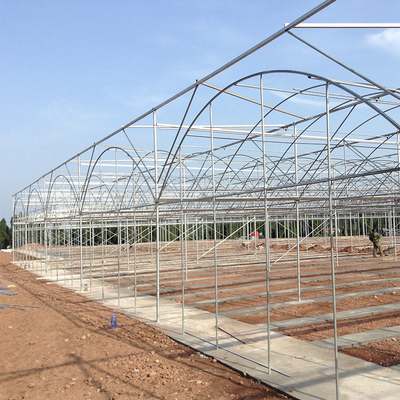 Rolling Benches Seedling Nursery Multi Span Greenhouses Galvanized Steel