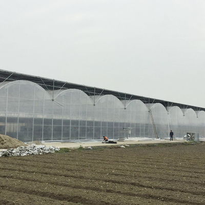 Inner Shading System Side Ventilation Multi Span Greenhouse Automatic Control