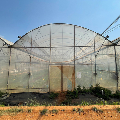 Multispan Plastic Film Tunnel Greenhouse With Vertical Farming Hydroponics System