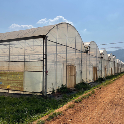 Multispan Plastic Film Tunnel Greenhouse With Vertical Farming Hydroponics System