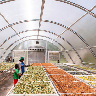 Polycarbonate Board Chilli Drying Solar Greenhouse Dryer For Vegetables Fruits