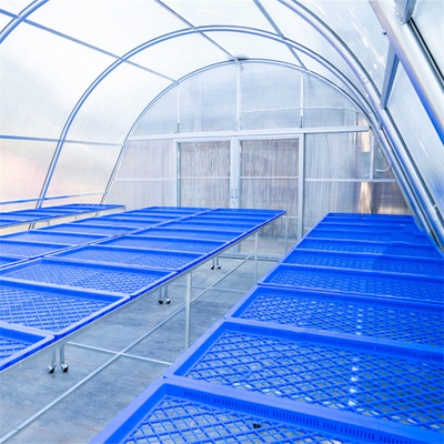 Solar Single Tunnel Greenhouse Polycarbonate Sheet Natural Rubber Drying