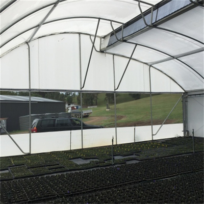 Polyethylene Tunnel 6 Mil Plastic Covering Sawtooth Top Vent Greenhouse