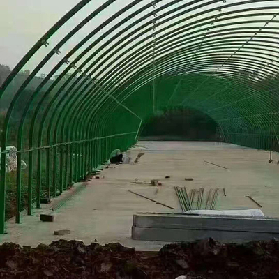 Chicken Poly Tunnel Greenhouse for Poultry Farm Livestock And Poultry Breeding