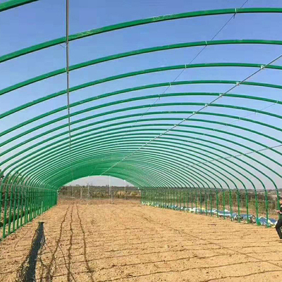 Chicken Poly Tunnel Greenhouse for Poultry Farm Livestock And Poultry Breeding