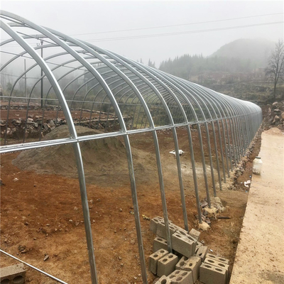 Chicken Cages Heaters Poultry Farm Plastic Film Greenhouse Agricultural Automatic