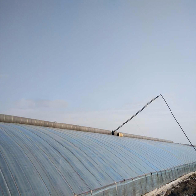 Tomato Passive Solar Greenhouse With Electric Roll Up Ventilation