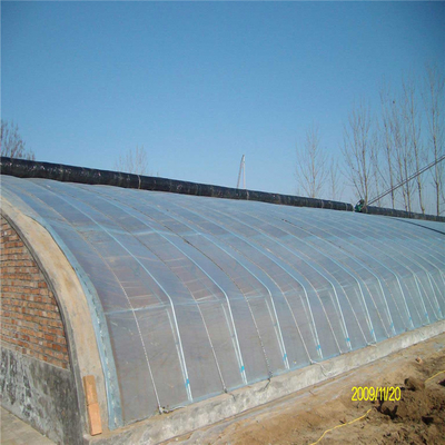 Tomato Passive Solar Greenhouse With Electric Roll Up Ventilation