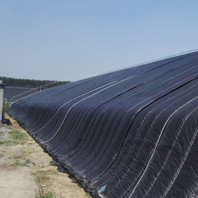 Agriculture Farming Solar Hydroponic Greenhouse Passive Solar