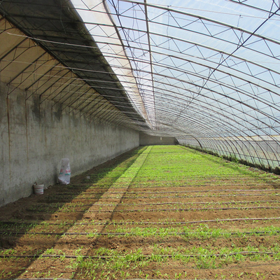 Winter Plastic Film Tunnel Passive Solar Greenhouse Single Span Heat Preservation