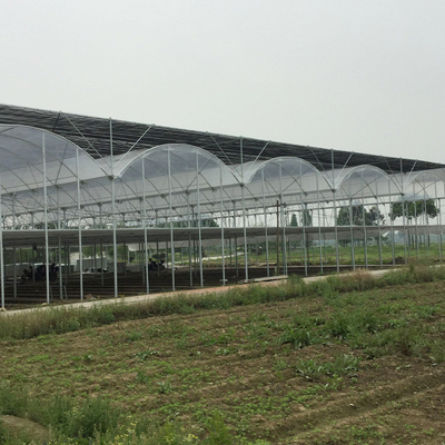 Automatic System Multi-Span Greenhouse PC Polycarbonate Film Greenhouse Steel Structure