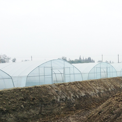 Strong Tunnel Plastic Film Greenhouse Polyethylene Covering With Irrigation System