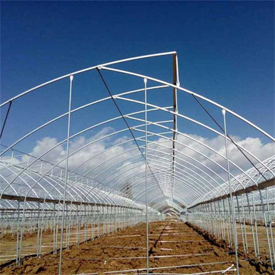 High Multi Span Strong Plastic Greenhouse Saw Tooth Roof Ventilation