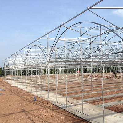 Agricultural Commercial Industrial Plastic Multi Span Greenhouse For Tomato Planting