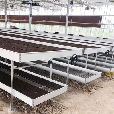 Commercial Greenhouse Rolling Benches / Seedbed Wire Greenhouse Bench for Flowers