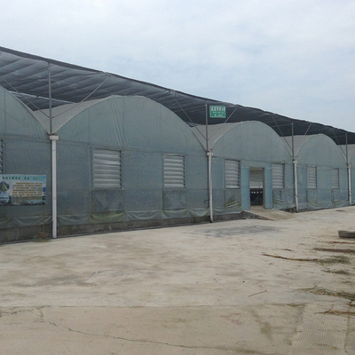 Hot Galvanized Structure Agriculture Polytunnel Greenhouse Wind Resistant Multi-Span Greenhouse