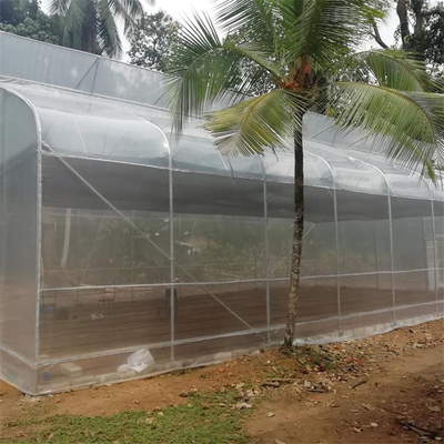 Tropical Arches Agricultural Growing Polyethylene Film Greenhouse