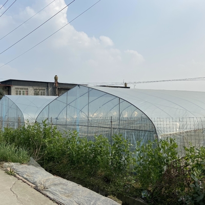 Hot-dip Galvanized Steel Pipe Structure Polythene Tunnel Plastic Greenhouse For Tomato