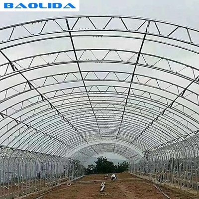 Double Film Double Arches Greenhouse Vegetable Growing 2.8m Tunnel Plastic Greenhouse