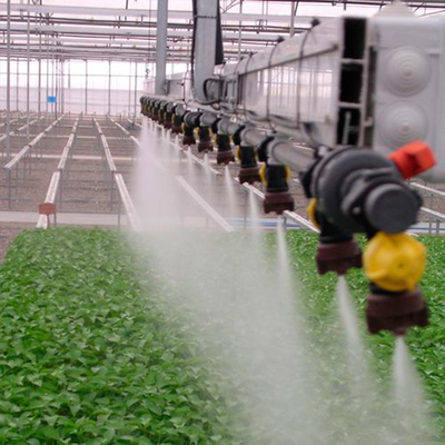 Polytunnel Sprinkler System / Food Grade PVC Greenhouse Watering System