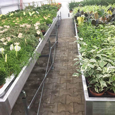 Agricultural Plastic Greenhouse Benches Economical Practical Ebb And Flow