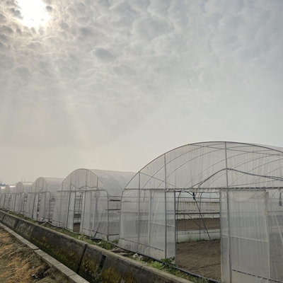 Hot Dip Galvanized Steel 4m Single SpanWaterproof Film Cover 9m Tunnel Plastic Greenhouse