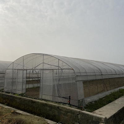 Hot Dip Galvanized Steel 4m Single SpanWaterproof Film Cover 9m Tunnel Plastic Greenhouse