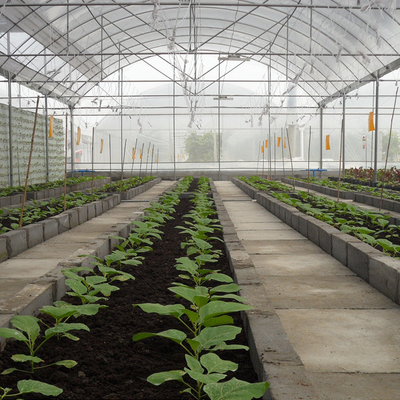 Multi Span Frame Plastic Film Greenhouse For Vegetable Agricultural Animal