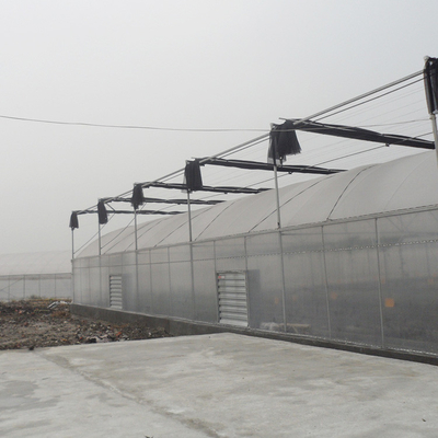 Large Size Plastic Film Greenhouse / Agriculture Greenhouse 20m - 100m Long